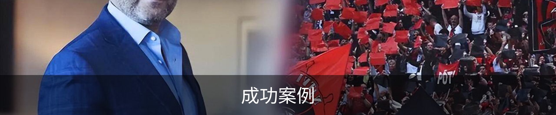 成功案例